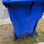 Damaged Container at 121 Cedar Ave