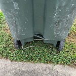 Damaged Container at 121 Cedar Ave