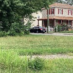 Tall Grass/Weeds at 1227 32 Nd St