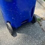Damaged Container at 731 Kensington Dr