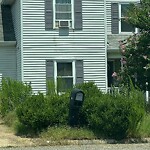 Tall Grass/Weeds at 835 Wilderness Way