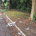 Litter/Illegal Dumping at 5700 Huntington Ave