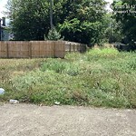 Tall Grass/Weeds at 1046 25 Th St