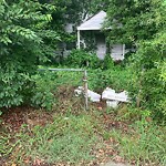 Tall Grass/Weeds at 1629 Rolfe Pl