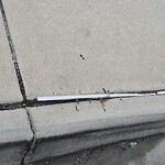 Street Repairs at 122 34 Th St