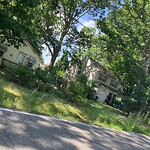 Tall Grass/Weeds at 345 Tabbs Ln