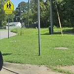 Tall Grass/Weeds at 790 Main St