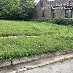 Tall Grass/Weeds at 1324 24 Th St