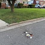Litter/Illegal Dumping at 42 Winston Ave