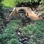 Litter/Illegal Dumping at 225 River Rd