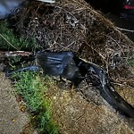 Street Obstructions at 845 27 Th St