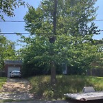 Tall Grass/Weeds at 890 Clemson Dr