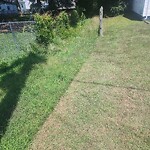 Tall Grass/Weeds at 7104 Chestnut Ave