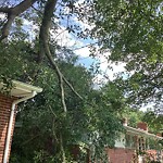 Other at 428 Eastwood Dr